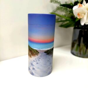 Beach Medium Scattering Tube