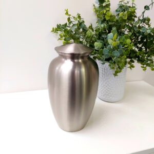 Plain Pewter